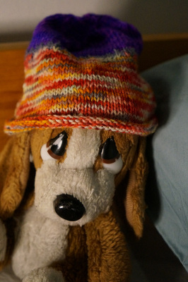 Sorbus-pipo pehmolelukoiran p&auml;&auml;ss&auml;