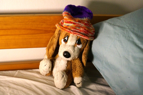 Sorbus-pipo s&auml;ngyll&auml; istuvan pehmolelukoiran p&auml;&auml;ss&auml;