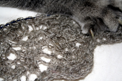 Pitsi&auml; Rintalan tilan langasta