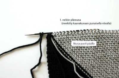 Lodicula-peiton ohjekuva 1.