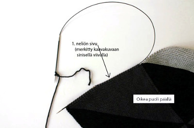 Lodicula-peiton ohjekuva 2.