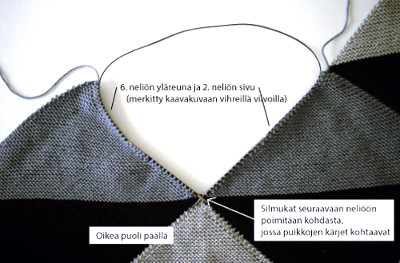 Lodicula-peiton ohjekuva 3.