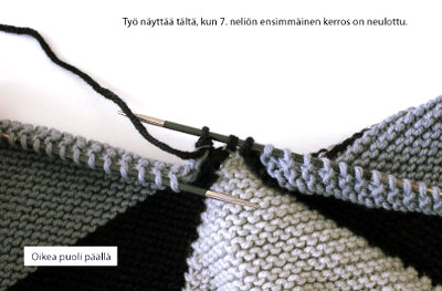 Lodicula-peiton ohjekuva 4.