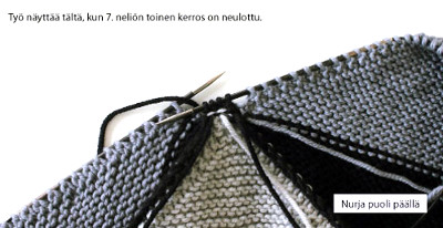 Lodicula-peiton ohjekuva 5.